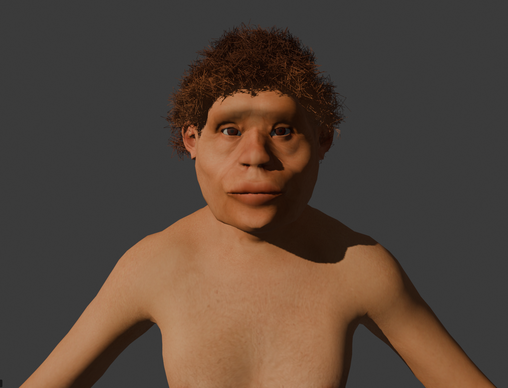 Homo Erectus Character