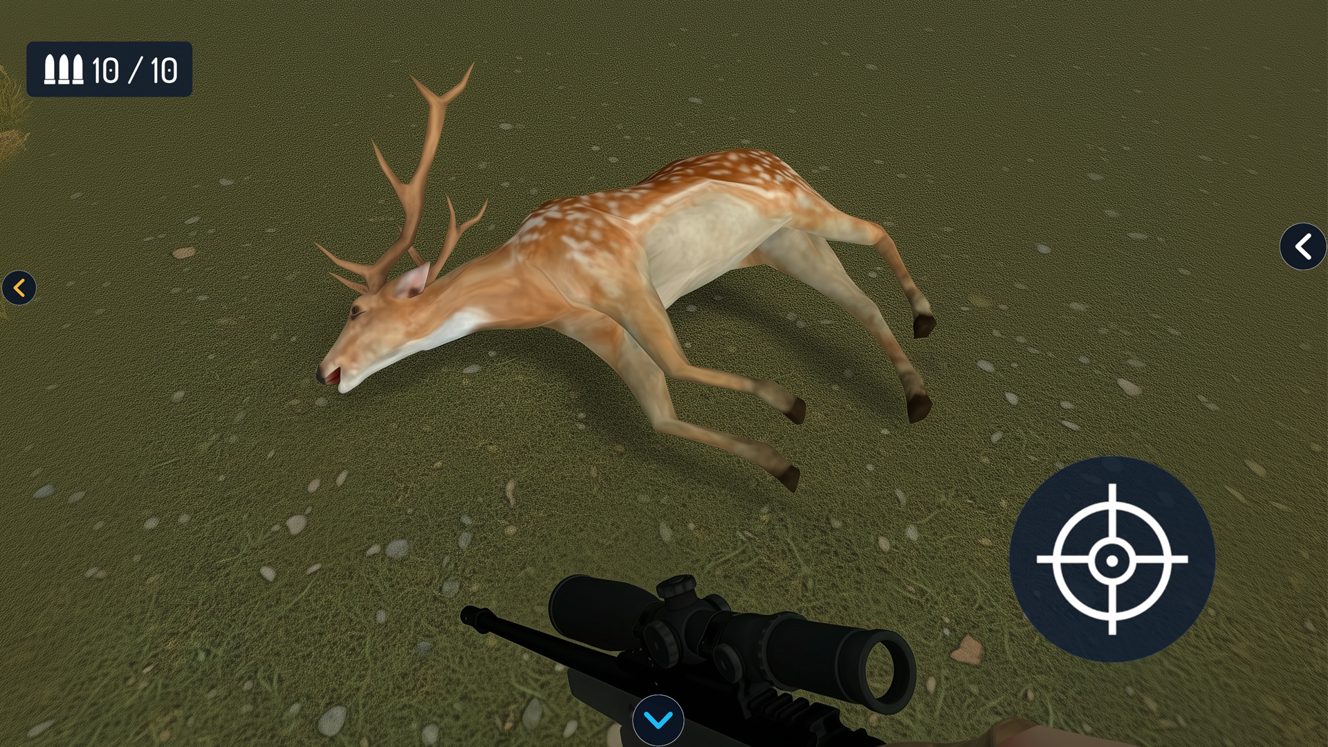 Hunt Store Gameplay