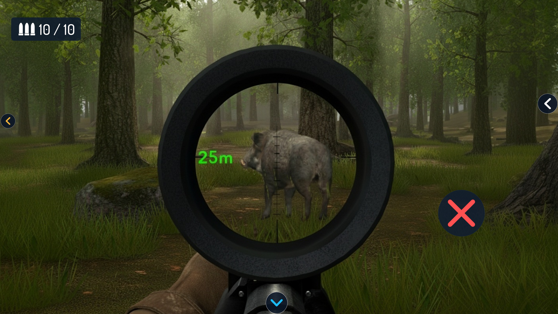 Hunt Store Gameplay
